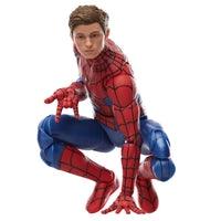 Hasbro Marvel Legends Series Spider-Man