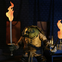 NECA - TMNT - LEONARDO THE HUNCHBACK