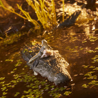 G.I. Joe - Classified Series - Croc Master and Alligator
